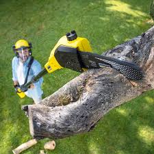 Reliable Ambler, PA Tree Removal and Landscaping Services Solutions